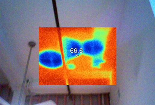 Thermal Imaging Ceiling