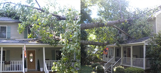 Tree damage repair in Henrico VA